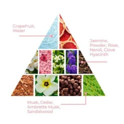 Baby Jolie - Le Bebe Baby Perfume 12 Baby Jolie - Le Bebe Baby Perfume -Macro Baby Store baby jolie le bebe perfume baby perfume image 7