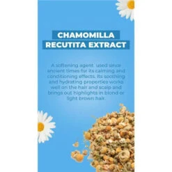 Baby Jolie - Tear Free Baby Shampoo 7.5 Oz 17 Baby Jolie - Tear Free Baby Shampoo 7.5 Oz -Macro Baby Store baby jolie paris baby shampoo 7 5 oz image 9