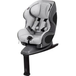Babyark - Classic Convertible Car Seat, Charcoal Grey/Glacier Ice