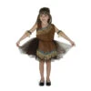 Dress Up America Kids Halloween Costume Indian Girl