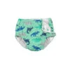 Iplay - Snap Reusable Absorbent Swim Diaper, Seafoam Simple Dino -Macro Baby Store iplay snap reusable absorbent swim diaper seafoam simple dino image 1