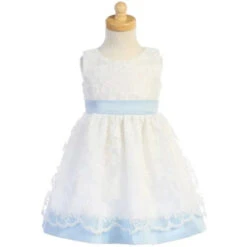 Lito - Baby Girl Embroidered Mesh With Poly Silk Trims, Blue/White