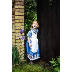 Little Adventures - Alice Princess Dress Up Costume -Macro Baby Store little adventures alice princess dress up costume image 5