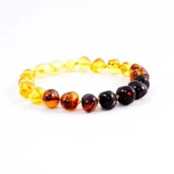 The Amber Monkey - Polished Baltic Amber Rainbow Baroque Bracelet 7-8 Inch Screw Clasp