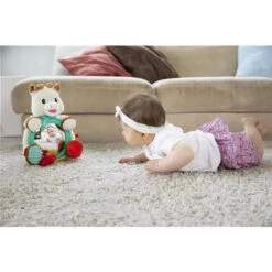 Vulli - Multi-Supports Activities Mirror, Sophie La Girafe 11 Vulli - Multi-Supports Activities Mirror, Sophie La Girafe -Macro Baby Store vulli multi supports activities mirror sophie la girafe image 4